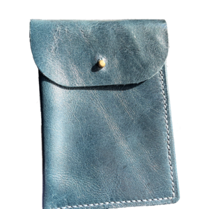 Passport case
